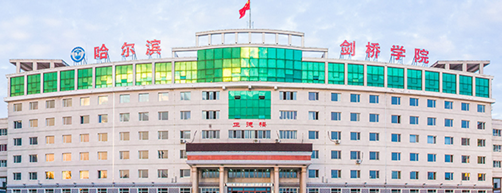 2024年哈尔滨剑桥学院艺术类招生简章发布了吗？什么时候发布？