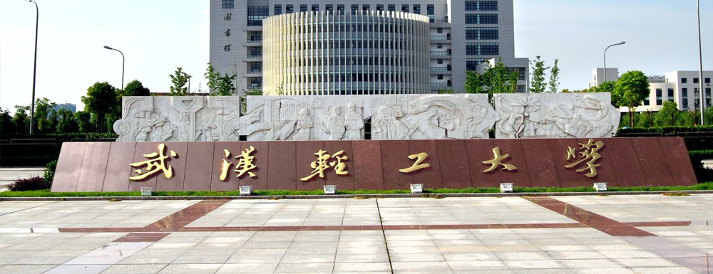 武汉轻工大学新增备案本科专业名单汇总（4个）