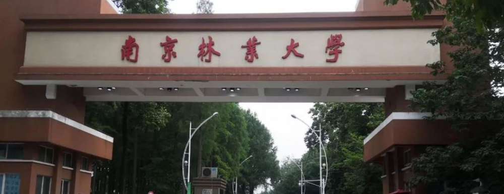 2023年南京林业大学江苏省综合评价校考安排（附报名入口）