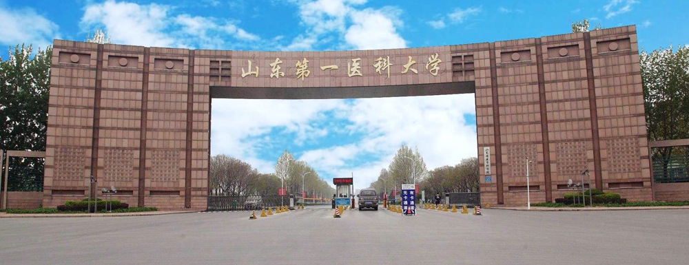 2023中国大学本科院校竞争力排行：山东第一医科大学第407位