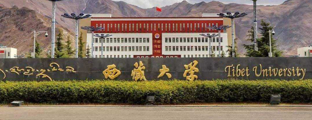 【实力对比】同济大学和西藏大学哪所大学更强？