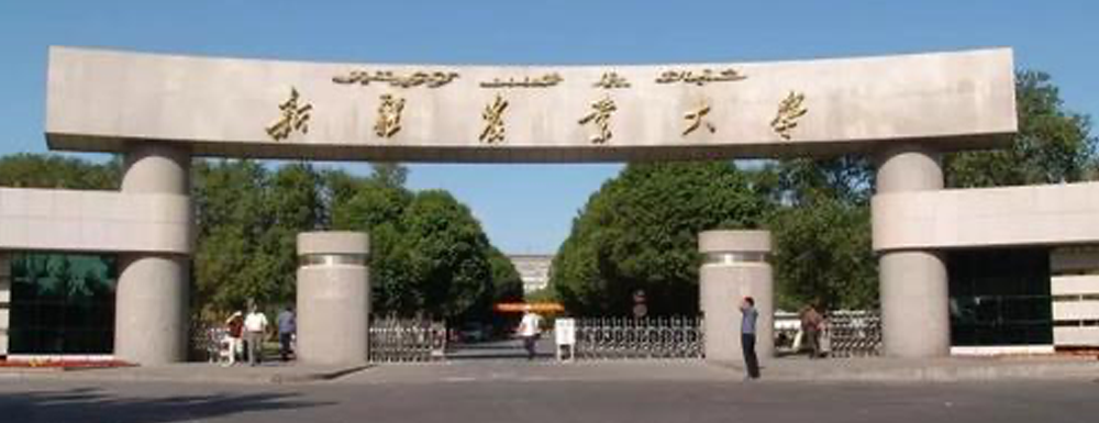 新疆农业大学排名全国第几？（2021-2023排名汇总）