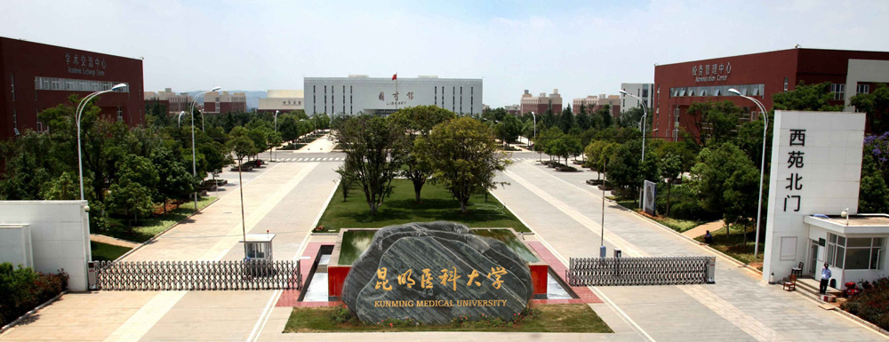 最新出炉：2024年昆明医科大学排名公布！