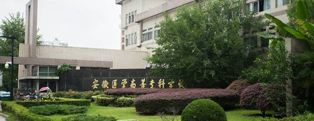 被安徽医学高等专科学校录取后怎么查询录取通知书发放情况？（附查询时间参考）