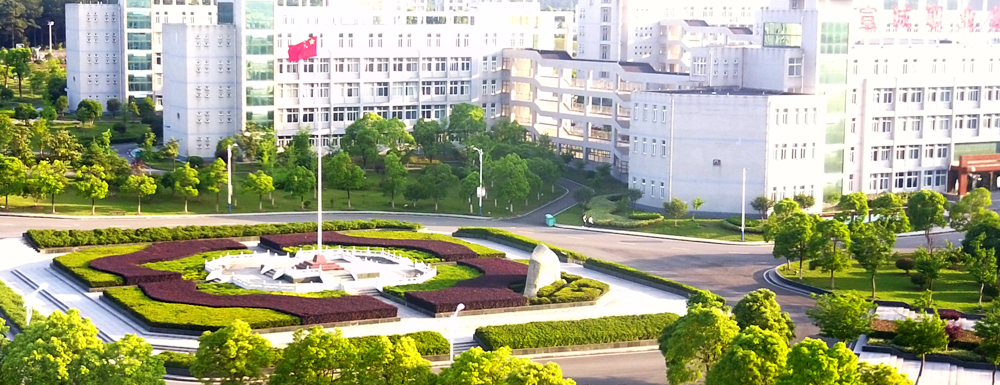 被宣城职业技术学院录取后怎么查询录取通知书发放情况？（附查询时间参考）