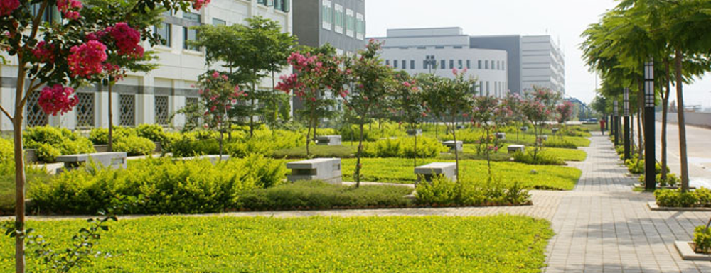2023年金平果大学排名：厦门华天涉外职业技术学院排名上升54位