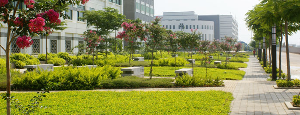 ​厦门华天涉外职业技术学院计算机网络技术专业介绍｜2023大学专业介绍