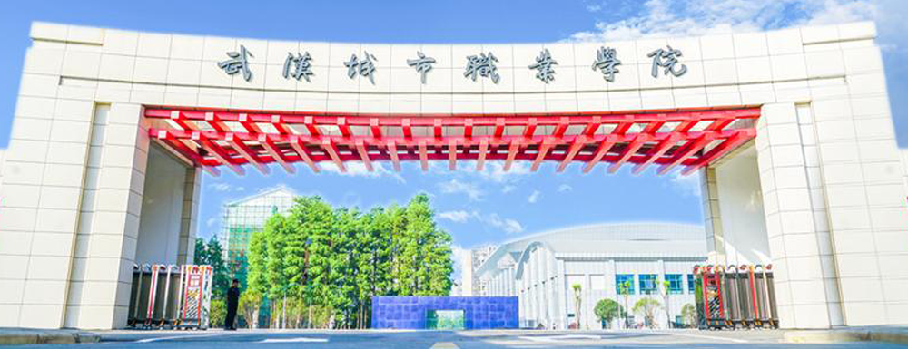 2023年武汉城市职业学院排名公布｜2023年高职院校排名