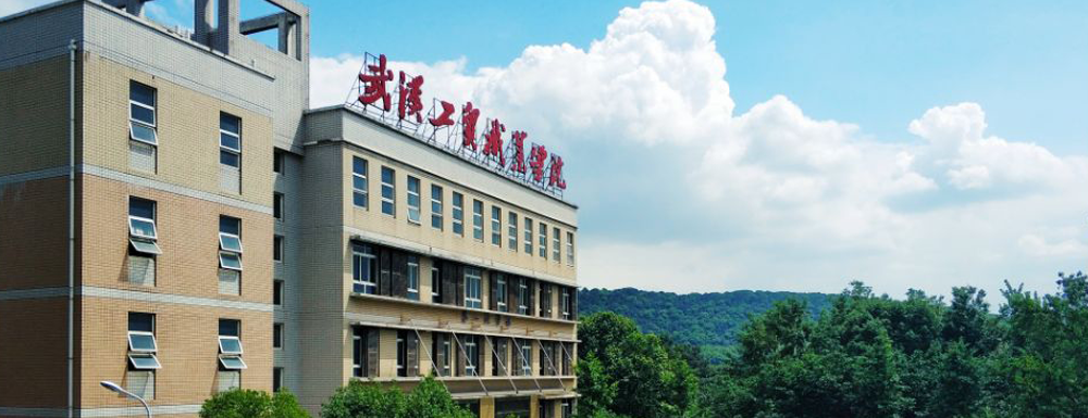 招生网址-武汉工贸职业学院2023年招生网入口