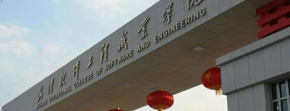 武汉软件工程职业学院招生网_武汉软件工程职业学院招生录取发布平台