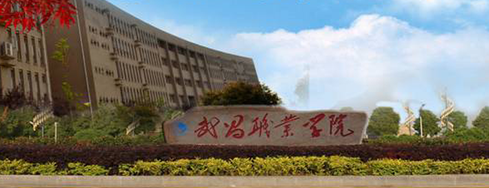 被武昌职业学院录取后怎么查询录取通知书发放情况？（附查询时间参考）