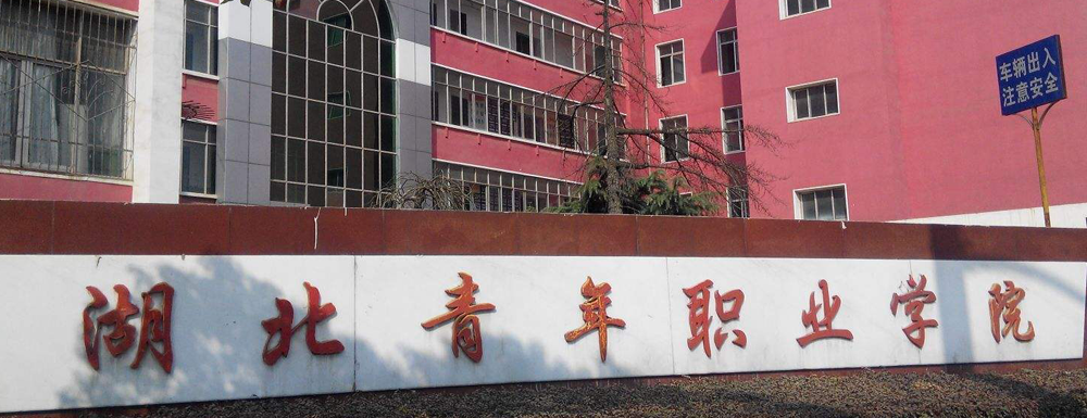 ​湖北青年职业学院青少年工作与管理专业介绍｜2023大学专业介绍