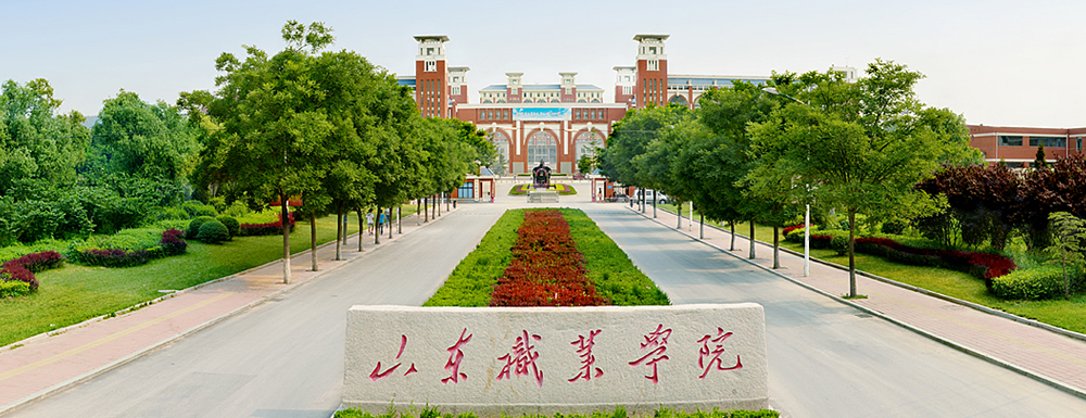 2023年山东职业学院报考指南：山东职业学院简介