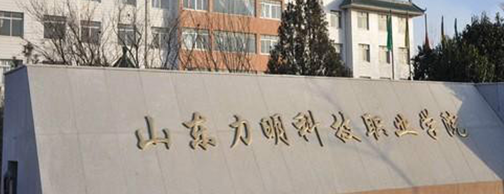​山东力明科技职业学院计算机网络技术专业介绍｜2023大学专业介绍