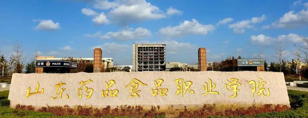 山东药品食品职业学院学校代码是多少？【13966】