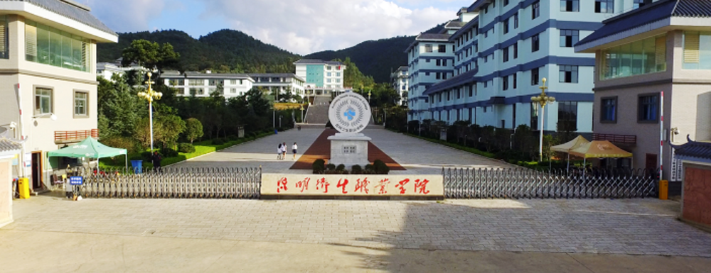 多少分可以上昆明卫生职业学院？昆明卫生职业学院2022年在甘肃各招生专业录取分数汇总