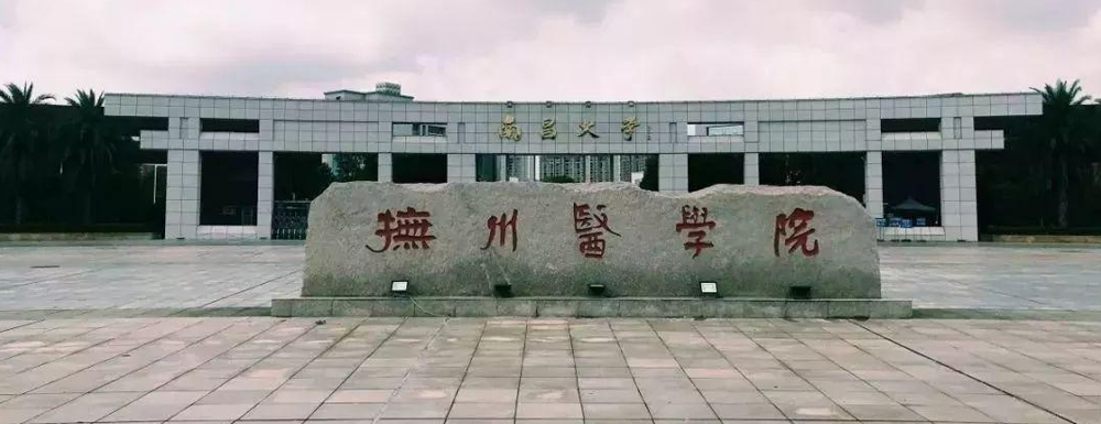 2023年南昌大学抚州医学院招生章程发布地址【查询入口】
