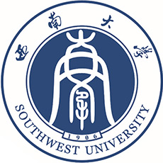 西南大学排名