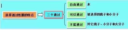 理综知识最全系统导图！二轮查漏补缺必备！