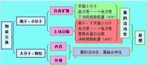 理综知识最全系统导图！二轮查漏补缺必备！