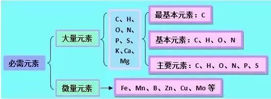 理综知识最全系统导图！二轮查漏补缺必备！