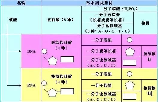 理综知识最全系统导图！二轮查漏补缺必备！