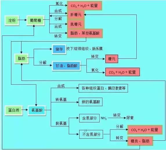 理综知识最全系统导图！二轮查漏补缺必备！