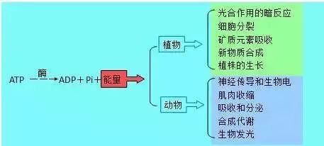 理综知识最全系统导图！二轮查漏补缺必备！