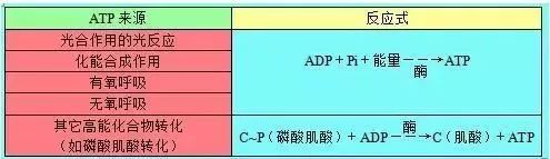 理综知识最全系统导图！二轮查漏补缺必备！