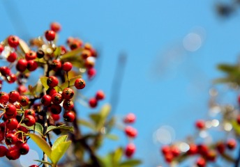 征集志愿真的是“救命稻草”吗？今年的我们可以去捡漏这些高校吗