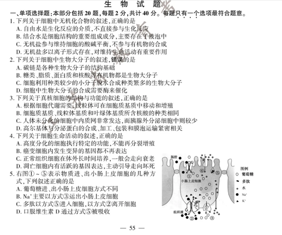 2020高考生物真题及参考答案（江苏卷）